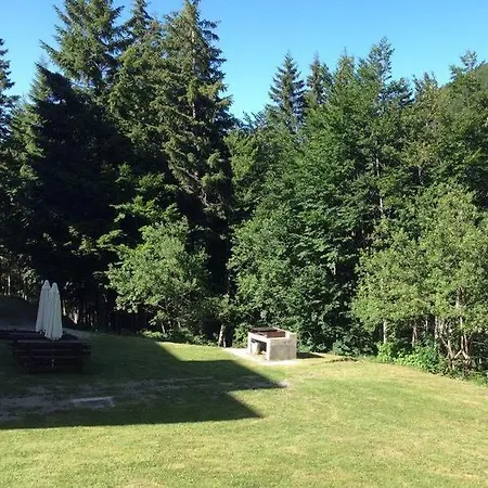 Val Di Luce - Delizioso 6 Posti Letto - Accesso Diretto Alle Piste Da Sci Apartament